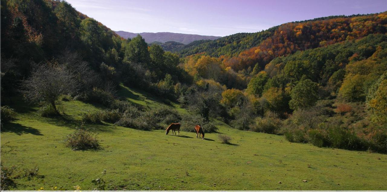 Hotel Restaurante El Ventos Sant Felíu de Pallarols 외부 사진